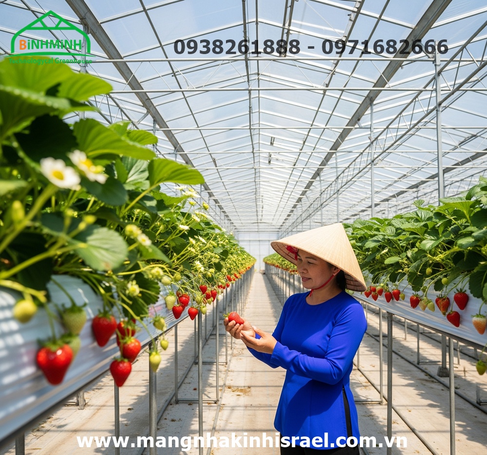 Màng Nhà Kính: Kiến Tạo Nông Sản Việt Sẵn Sàng Vươn Ra Biển Lớn